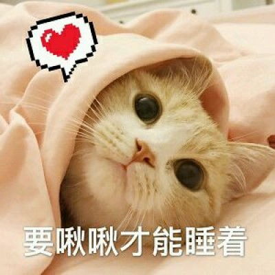 qq头像可爱的小猫头像,这个主人比较个性有创意