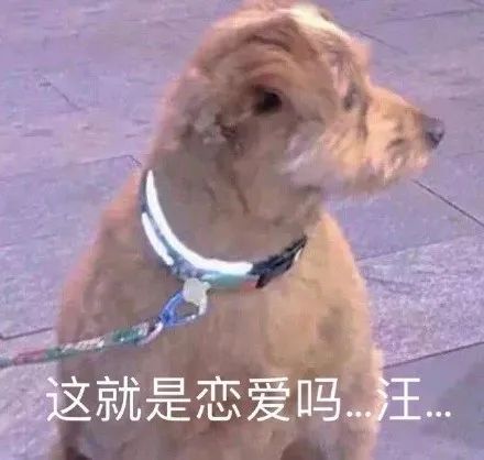 互相奔赴的爱情也太甜了,555羡慕两个字我说累了