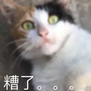 花园猫表情包吸猫