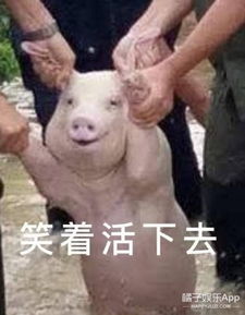 宁泽涛给好兄弟当伴郎,帮新娘打伞还一起打麻将