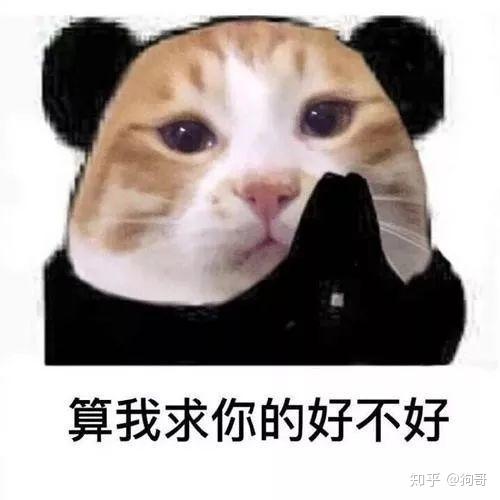 过高速猫狗被焚烧,人被隔离猫咪被活埋,社区可以依法杀害猫狗吗