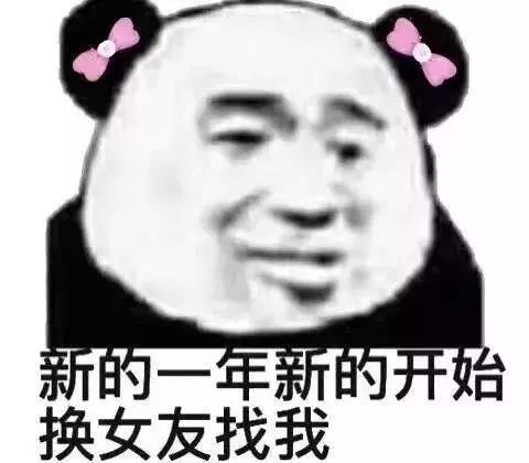 熊猫头表情包没用的我对女人没兴趣