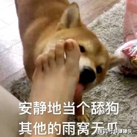 可爱表情包哥哥在吗