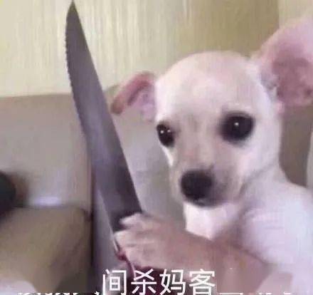 淘宝奇葩买家大赏买家秀被当a片卖,这群人是不是没救了