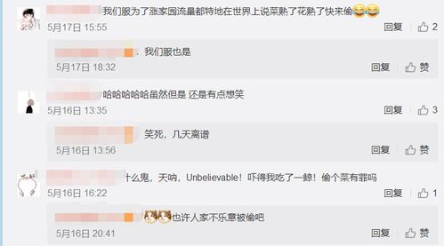 中国玩家太神奇,曾火爆全国的偷菜游戏,如今又被玩成红包大战