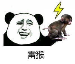 高能qq表情包6