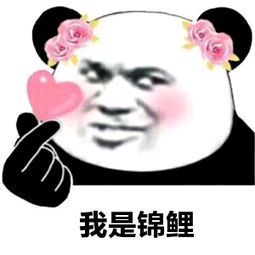 想当锦鲤的你,赏景拍照也能得奖品