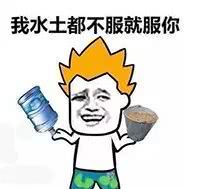 企鹅前线春节搬新房大家最在意的居然是这个