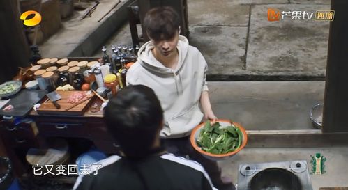 何炅和黄磊对张艺兴的包容与偏爱,被李诞说破了