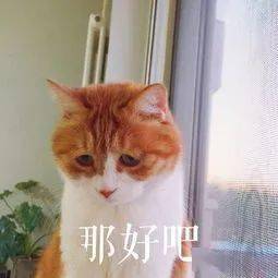 洛阳凭实力刷爆朋友圈最新放假通知来咯