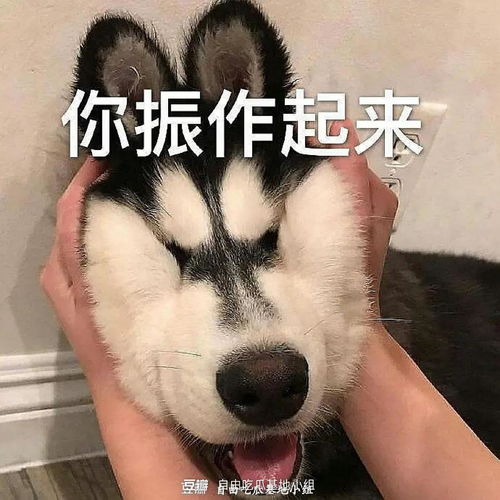 按着规律大灾之后必有大疫澳大利亚这场大火之后的疫情会不...