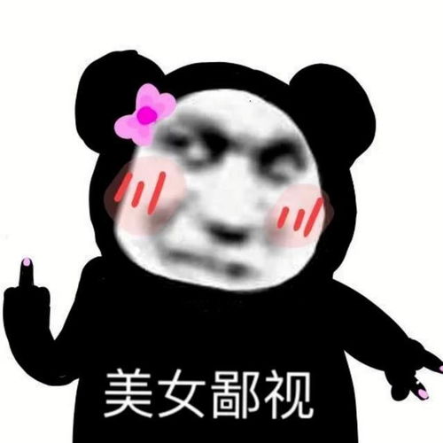 猫咪芜湖表情包