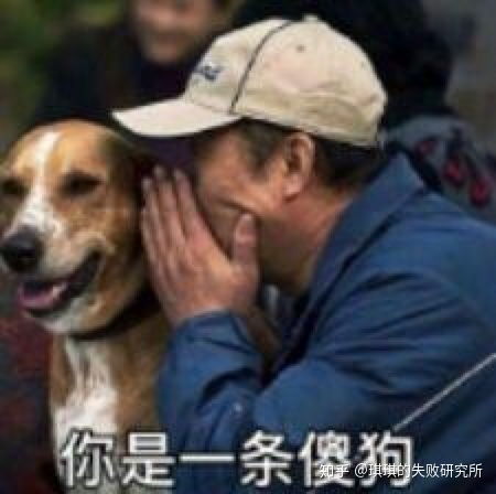 狗狗发抖的表情包狗粮