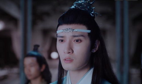 陈情令泽芜君为什么要带忘羡上金麟台