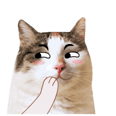 一大波小猫咪表情包萌萌哒动态图