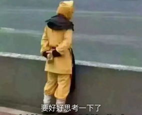2018年风靡教育界的关键词新高考新教改下,语文怎么学