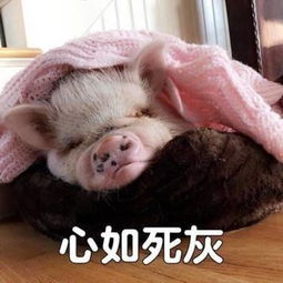 消失的春兰时过境迁,如今的我们抱着春兰空调忆往昔
