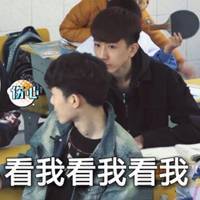 变形记表情包无字幕微信头像图片大全
