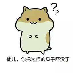 有没有师傅和徒弟之间的表情包求,师傅对徒弟的