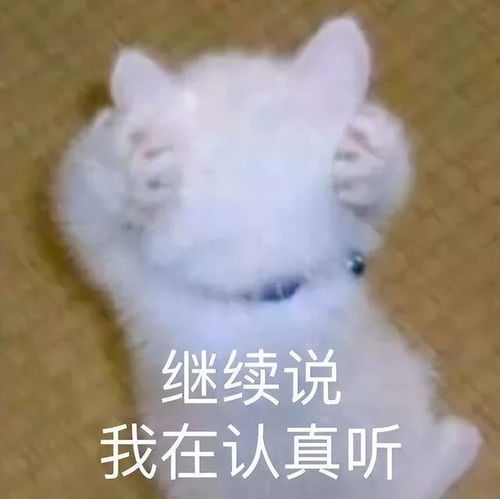 向天再借五分钟表情包