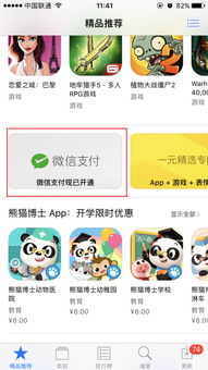 皆大欢喜appstore也能用微信支付了