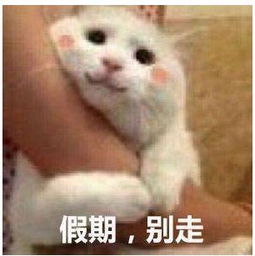 中秋节后上班心拔拔凉,暖心的是,距离下一个假期