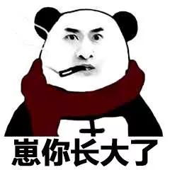来自荷兰猪的大礼包,每周两份,我太难了