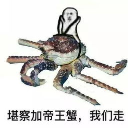 word天过年国人花了8400亿,你贡献多少