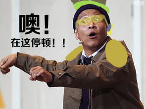 子腾自制你没见过的守望先锋网红表情包