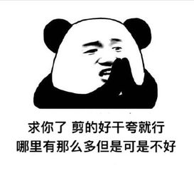 答辩被怼表情包