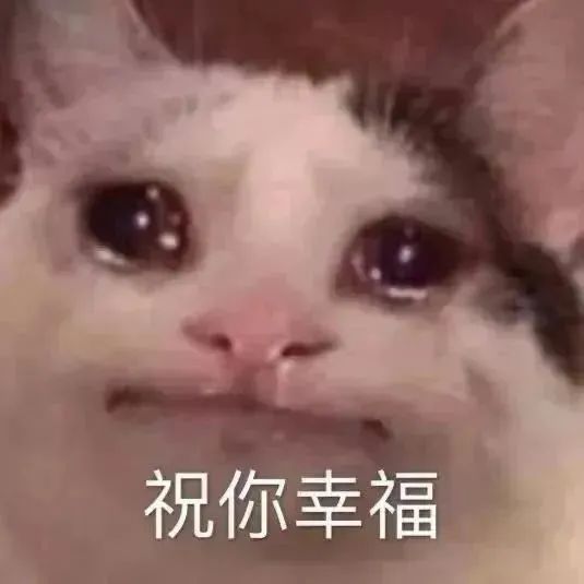 表情包你跟他忙完了吗