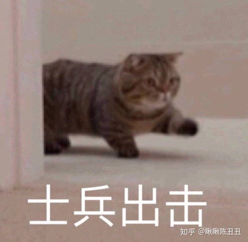 下大雨搞笑表情包开心笑话