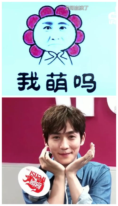 朱一龙被逼做表情包,学皮卡丘害羞尴尬,学蜡笔小新得心应手