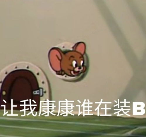 搞笑表情包图片一整天的笑点,都被你承包了