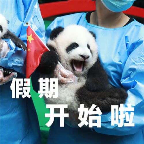 2020年假期全部结束表情包下载