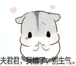 抖音小仓鼠高清无水印表情包合集超萌