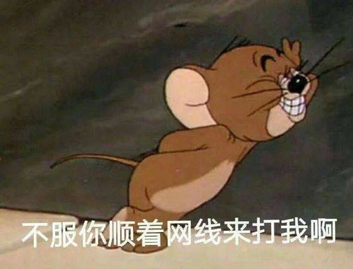 甄子丹做自己民族的超级英雄