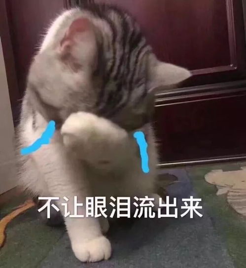 爸爸反对专业,女儿却坚持来四川上大学决裂后,她开始众筹学费
