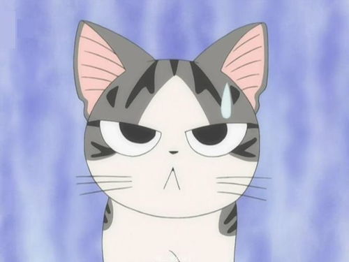 甜甜私房猫表情包png王子