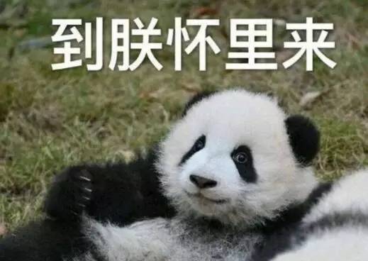 突然兴奋冷空气来袭下周上海天气让人感动到流泪