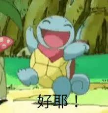 前方大量表情包出没杰尼龟咋就变成憨批代言人了