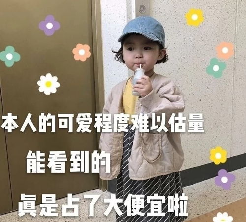 不会烂大街的限量短句