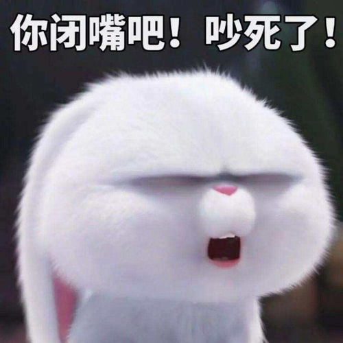 这四种难以沟通的舍友,他开口的时候,我真希望他能闭嘴