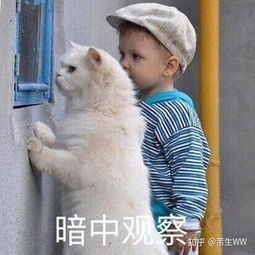 怎么问候喜欢的人