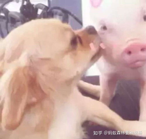 有没有那种看起来很正经青春无敌正能量的头像
