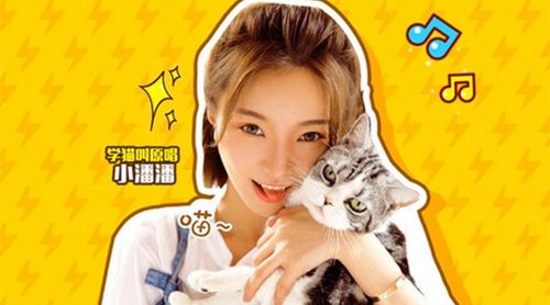 小潘潘翻唱的黄梅戏是正宗的黄梅戏吗