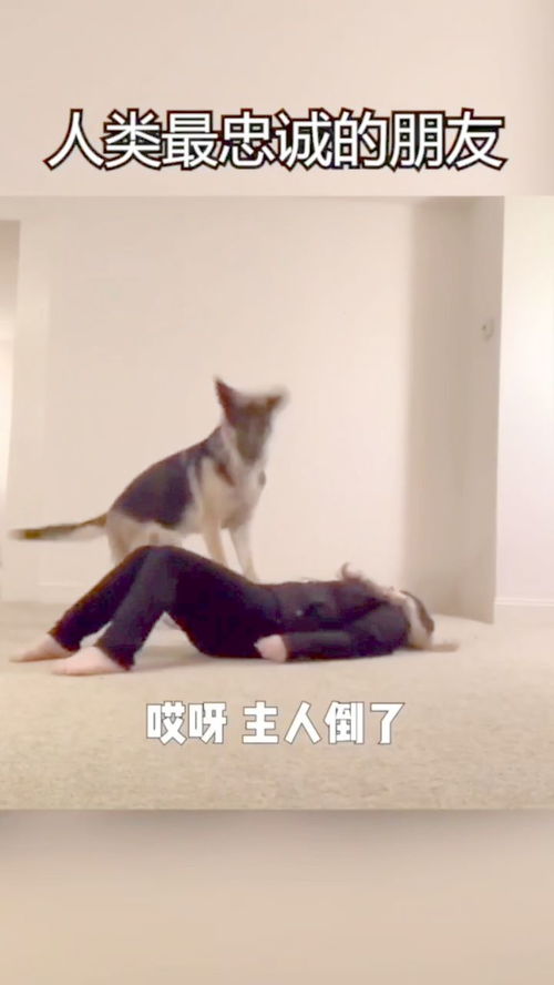 心脏复苏配合两次人工呼吸,它吹气我感觉容易漏风