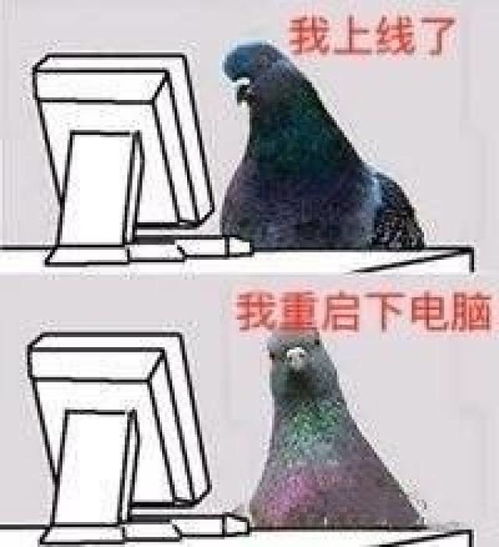 放鸽子表情包不见不散