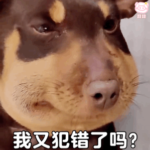 蜜蜂小狗表情包图片