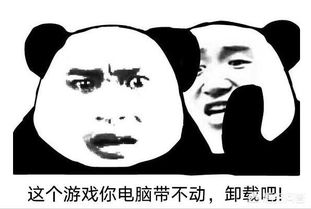 为什么玩绝地求生的时候总是会卡,垃圾也清理过了,那是为什么